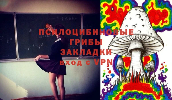 стаф Алексин