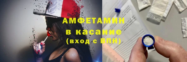 гидра Алексеевка
