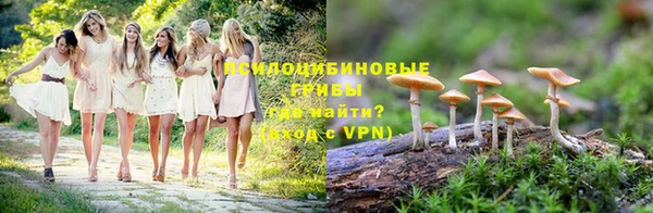 стаф Алексин