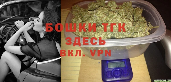 гидра Алексеевка