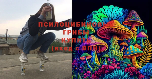 гидра Алексеевка
