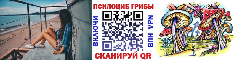 Галлюциногенные грибы прущие грибы Купить где Верхний Уфалей